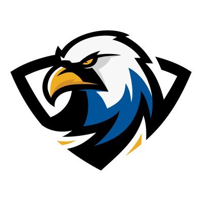 Embry-Riddle Aeronautical University logo