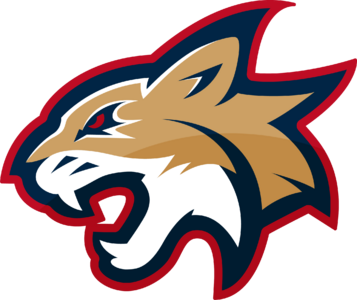 University Of Arizona logo