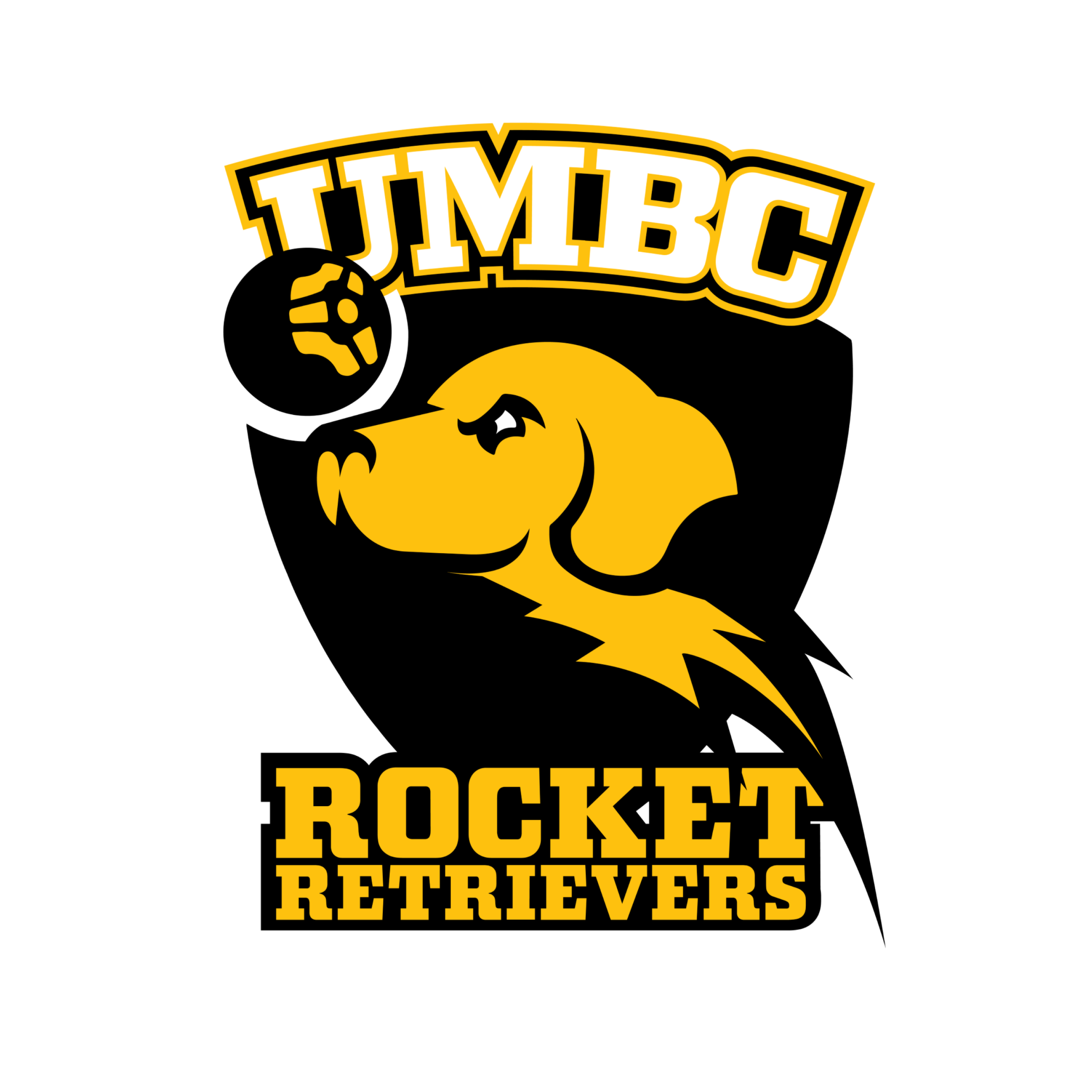 University of Maryland Baltimore County logo