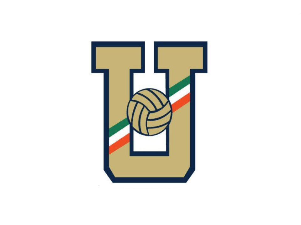 UNAM logo